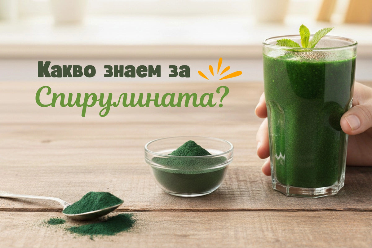 Спирулина – ползи, рецепти, състав