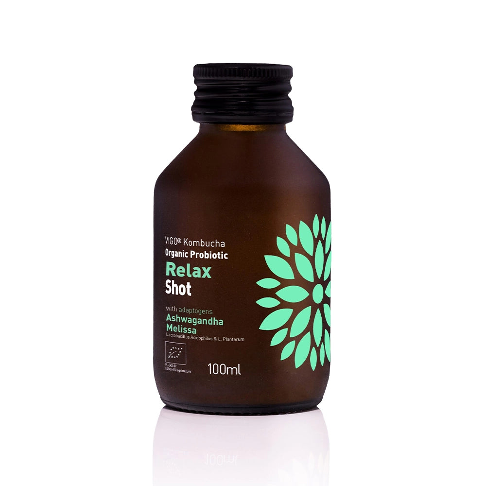 Био Relax Шот 100ml, VIGO Kombucha