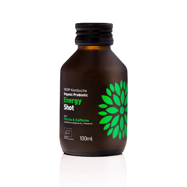 Био Energy Шот 100ml, VIGO Kombucha