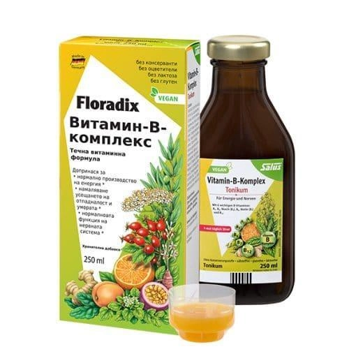 Витамин В-Комплекс, Floradix, 250 ml